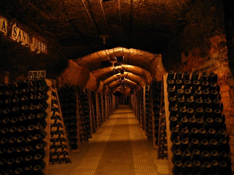 Hầm rượu vang cổ Saint Martin