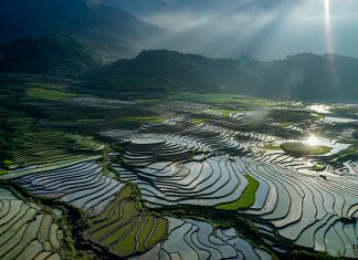 Đi du lịch Sapa mùa nào ngắm ruộng bậc thang đẹp nhất?