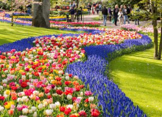 Du lịch Hà Lan nên tham quan những vườn hoa nào?