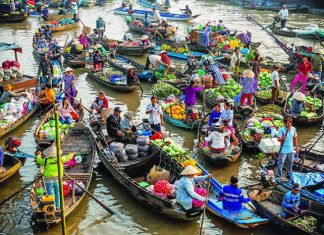 Khám phá mùa nước nổi khi đi du lịch Miền Tây đầy thú vị