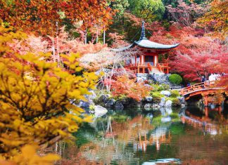 Vì sao bạn nên đi tour du lịch mùa thu Trung Quốc?