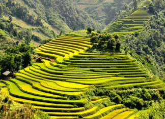 Những địa điểm ngắm ruộng bậc thang đẹp nhất khi đi du lịch Sapa