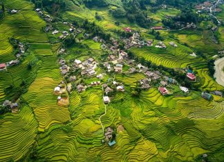 Khám phá hình ảnh ruộng bậc thang Sapa đẹp nhất vào mùa lúc chín