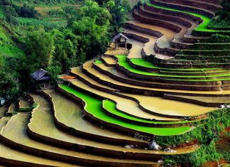 Những hình ảnh đẹp nhất về ruộng bậc thang ở Sapa