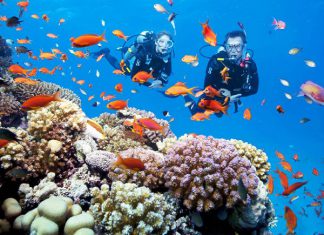 Chuyến đi du lịch Thái Lan cùng một mùa hè lý tưởng?