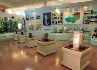 Bảo Tàng Sinh Học – góc sống ảo như Châu Âu ít tại biết tại Đà Lạt